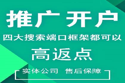 信息流代理案例分享：助力企业增长之道